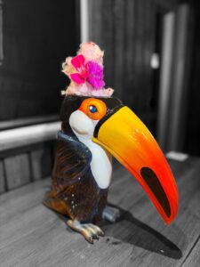 WhatsApp Image 2026-01-29 at 12.43.48 (4)